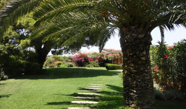 Κήπος - Garden